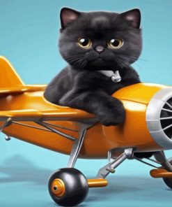 Black Cat In Airplane Diamond Painting