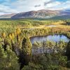 Cairngorms Scotland Diamond Painting