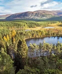 Cairngorms Scotland Diamond Painting