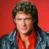 David Hasselhoff Actor Diamond Painting