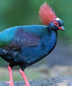 The Crested Partridge Bird Diamond Painting