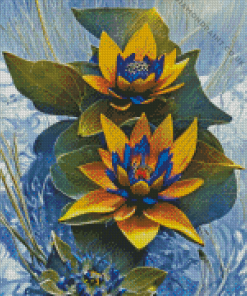 Yellow Blue Water Lilies Diamond Painting