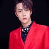 Wang Yibo Actor Diamond Painting