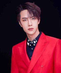 Wang Yibo Actor Diamond Painting