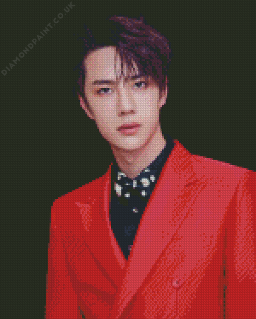 Wang Yibo Actor Diamond Painting